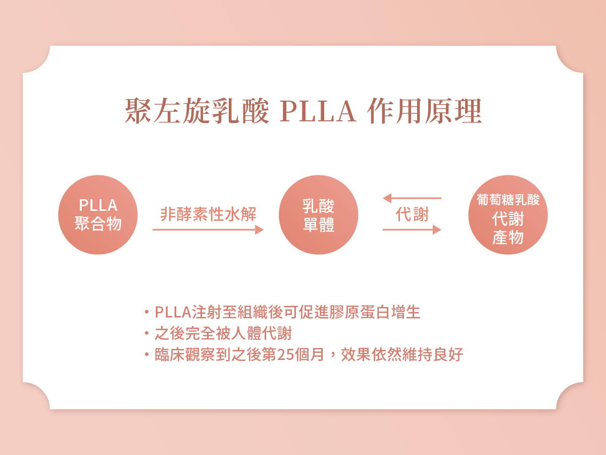 Sculptra® 舒顏萃-PLLA聚左璇乳酸作用原理 Sculptra® 舒顏萃-PLLA聚左璇乳酸作用原理